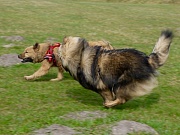 Sienna und Lima