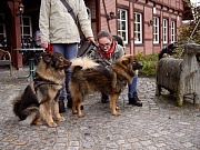 Fenny und Lotta