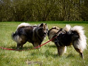 Tajo und Fenny
