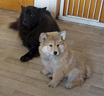 Osa und Piri