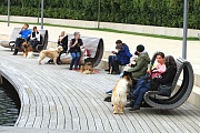 Picknick