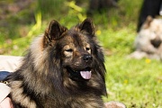 Tajo