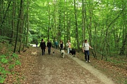 Hundewanderung Ukleisee am 12.7.2015
