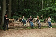 Luka, Frodo, Bille, Yelly, Davinci