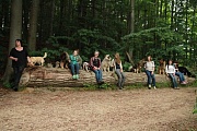 Luka, Frodo, Bille, Yelly, Davinci, Fenris und Inouk