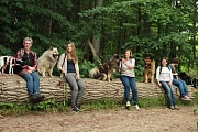 Bille, Yelly, Davinci, Fenris und Inouk