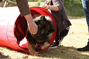 Frodo