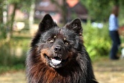 Teddy (E´Tahatan)