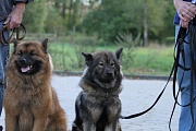 Galileo und Gloria Maxima