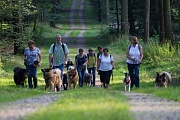 Die Schatten werden länger