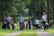 Der Rückweg 