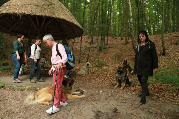 Auch Hunde und Wanderer mit Handycap 