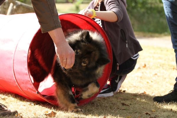 Frodo
