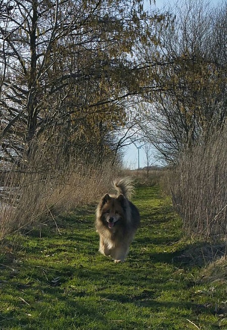 Wanja mit 15 Jahren