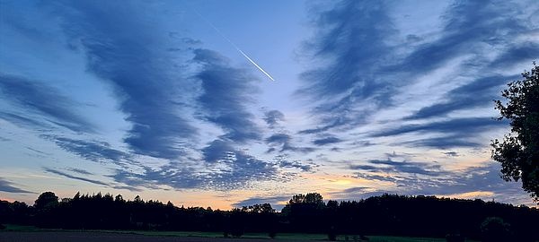 20230927_190249_resized_600