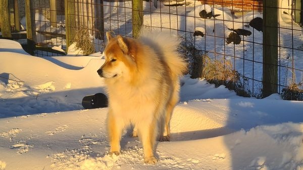 20260110_152805_resized_600