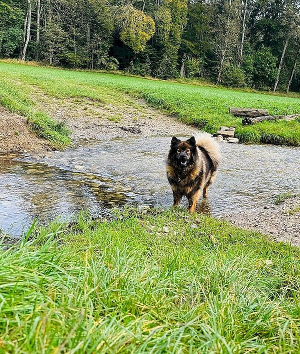 img-20241105-wa0003_708 img-20241105-wa0003_708
