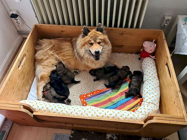 img-20250709-wa0050_600 img-20250709-wa0050_600