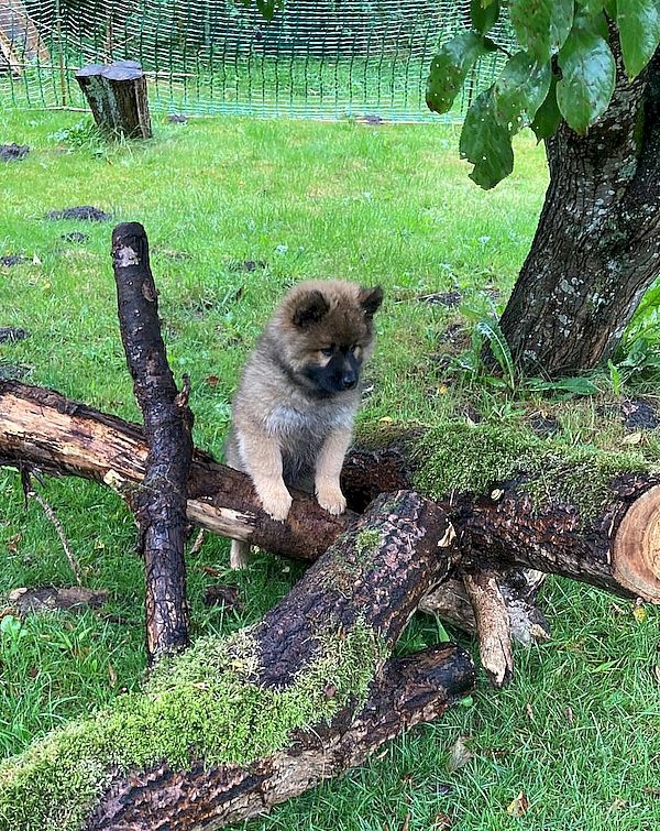 img-20250901-wa0076_755 img-20250901-wa0076_755