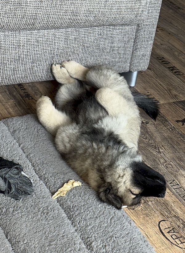 img-20250902-wa0008_819 img-20250902-wa0008_819