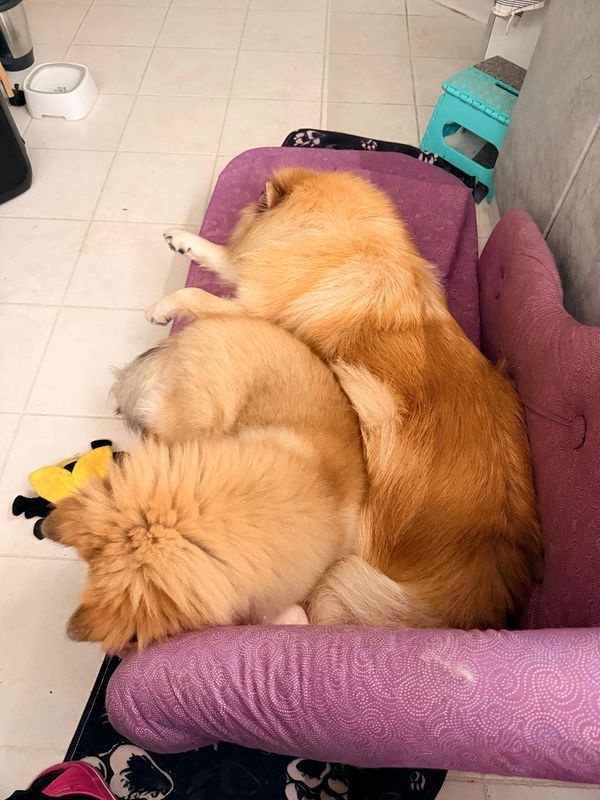 img-20251113-wa0005_resized_800 img-20251113-wa0005_resized_800