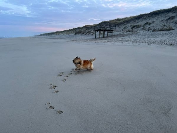 img-20260117-wa0002_600 img-20260117-wa0002_600