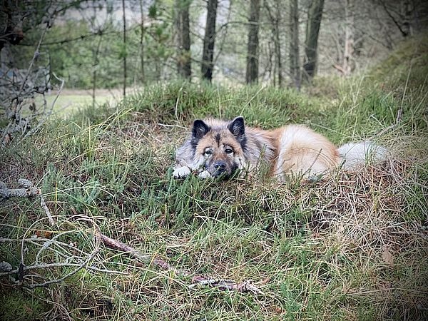 img_0148_600 img_0148_600
