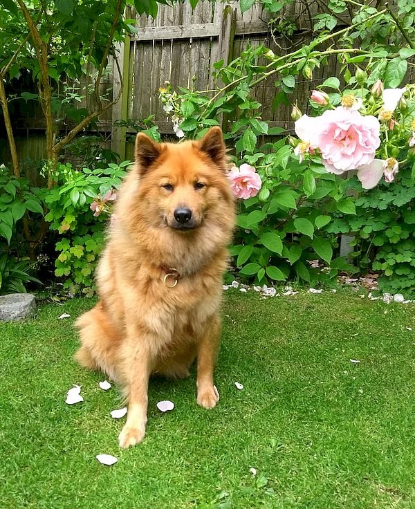 nala_736_01