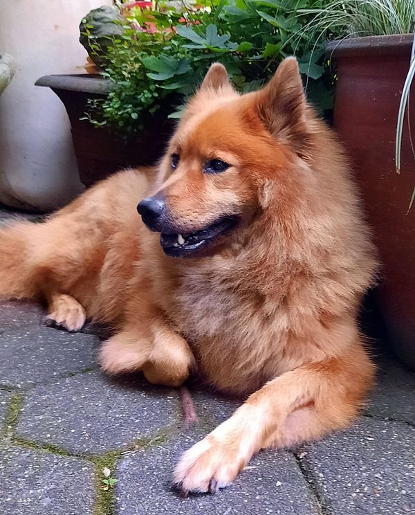 nala_744_01