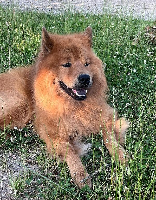 nianyo_766 nianyo_766